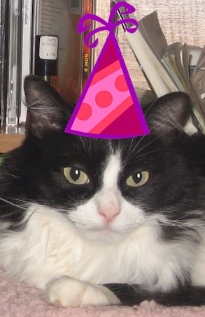 happy birthday cat picture. The Birthday Cat